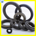 Standard Sizes Seals NBR Material Seal Viton Seal